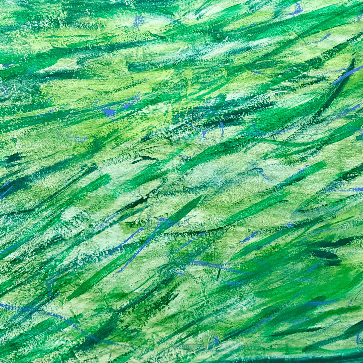 Bosquejo de una eclosión